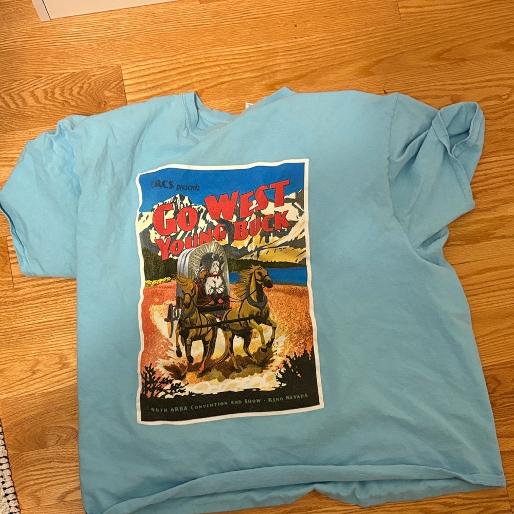 Gildan Sky Blue Graphic Tee